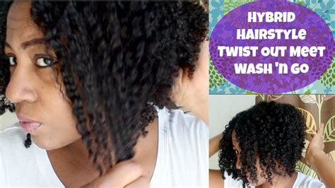 Hybrid Hairstyle Twist Out Meet Wash N Go Fine Natural Hair Youtube