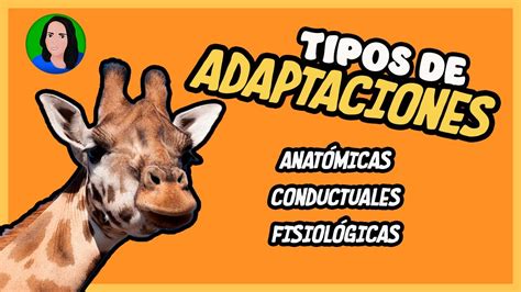 Tipos De Adaptaci N Biol Gica Estructural Fisiol Gica Y Etol Gica