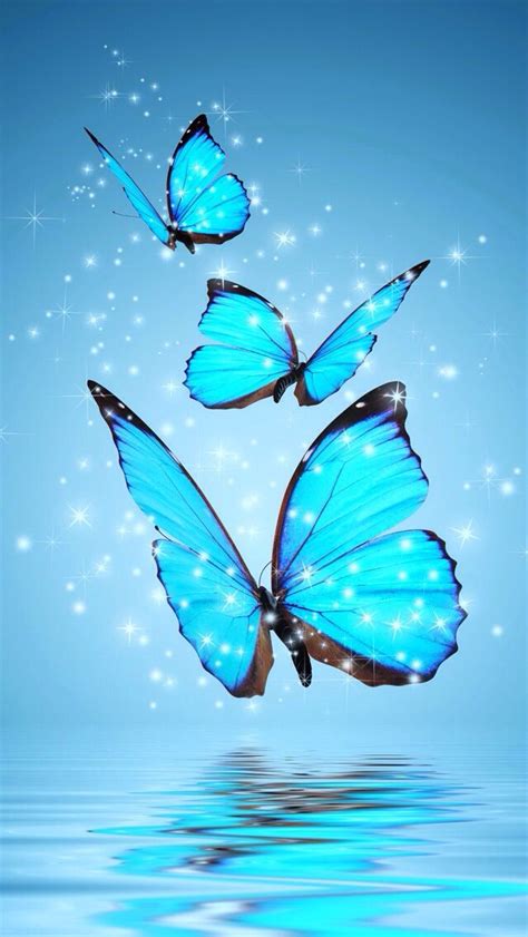 Beautiful Blue Butterfly Wallpaper