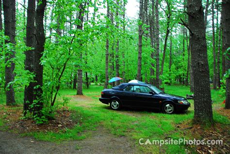 Sebago Lake State Park - Campsite Photos, Camping Info & Reservations