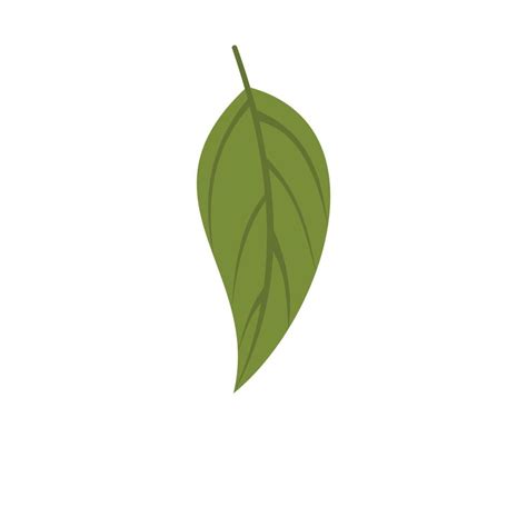 Dogwood leaf icon, flat style 14427908 Vector Art at Vecteezy