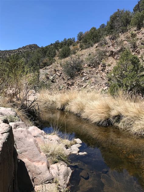 Southern New Mexico Explorer Rabb Canyon Box Gila National Forest