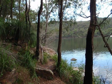 Sphinx To Mt Kuring Gai Hike 10 7km Ku Ring Gai Chase National Park