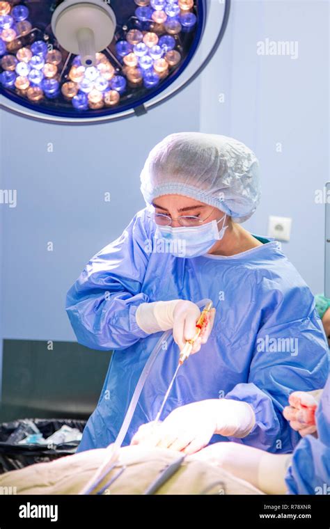 Female Surgeon At Work