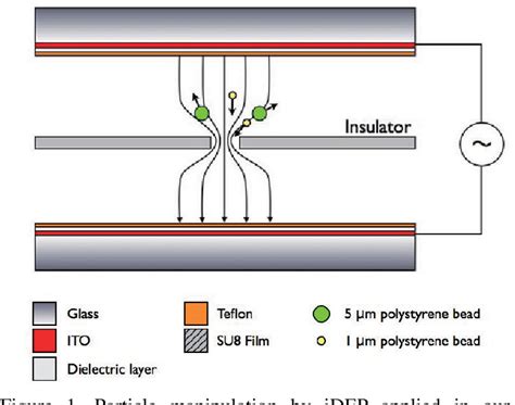 Figure 1 From Microfluidic Immunosensor Based On Insulator Dielectrophoresis And Electrowetting