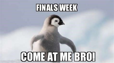 Finals Week Quotes Quotesgram Finals Quote Good Luck Quotes Exam