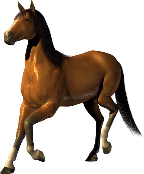 Horse Png Image Free Download Picture Transparent Background