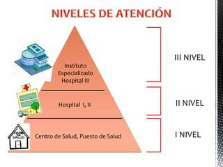 Niveles de atención médica PPT