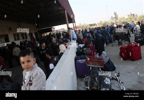 Rafah, Gaza Strip, Palestinian Territory. 14th Nov, 2016. Palestinians ...