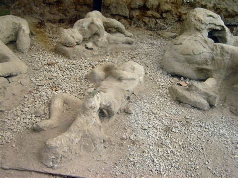 Bodies in Pompeii by LAURAotms on DeviantArt