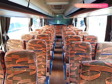 Sewa Bus Medium Seat