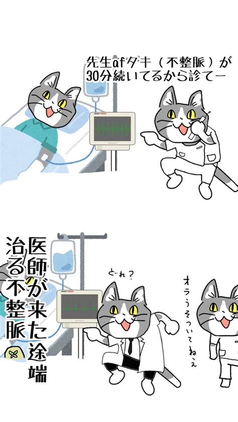 病院猫さんの人気ツイート古い順 ついふぁん