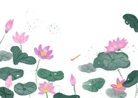 Pink Lotus Flower Clipart Hd PNG Pink Watercolor Lotus Flower Border