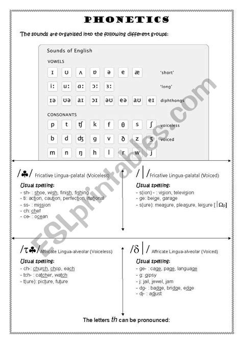 Phonetics Esl Worksheet By Giny