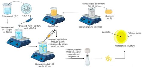 Preparation And Characterization Of Chitosan Alginate Microspheres