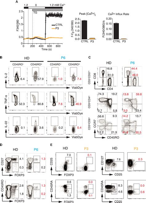 ORAI1 Mutations Abolishing Store Operated Ca2 Entry Cause Anhidrotic