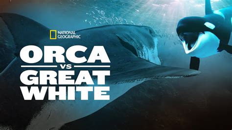 Orca Vs. Great White (2021) - AZ Movies