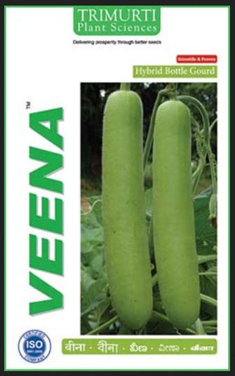 Bottle Gourd Hybrid Veena Seed At Best Price In Hyderabad By Trimurti Plant Sciences Pvt Ltd