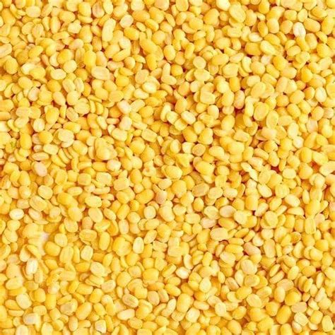 Yellow Lentil Toor Dal Tamil Nadu High In Protein At Rs Kg In Madurai