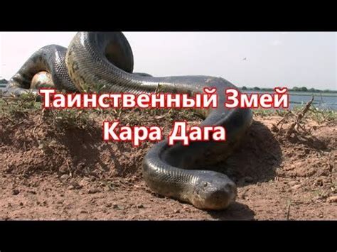 Таинственный змей Кара Дага - YouTube