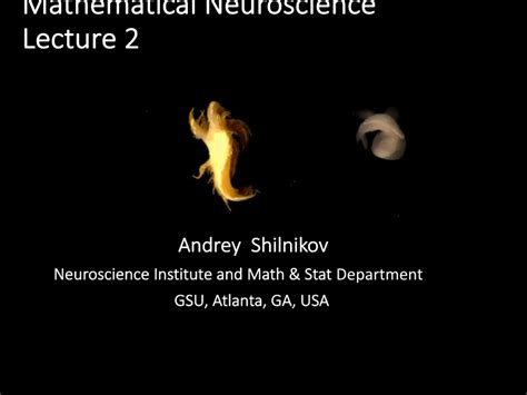 Pdf Mathematical Neuroscience Lecture