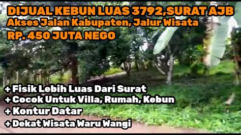 Dijual Kebun Luas Surat Ajb Di Jalur Wisata Kontur Datar