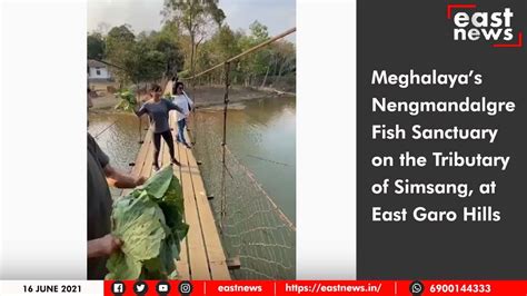 Meghalayas Nengmandalgre Fish Sanctuary On The Tributary Of Simsang