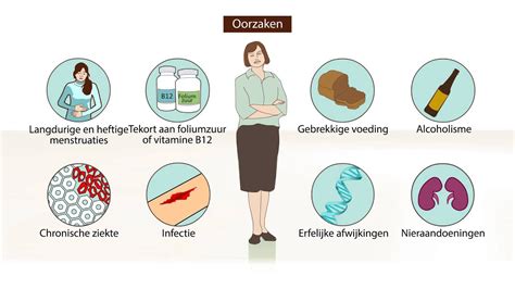 Oorzaken En Gevolgen Armoede