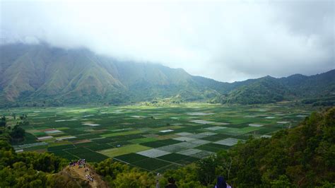 Wisata Di Sembalun Lombok Menikmati Alam Kaki Gunung Rinjani