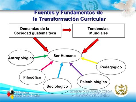 Gesti N Curricular Transformaci N Curricular