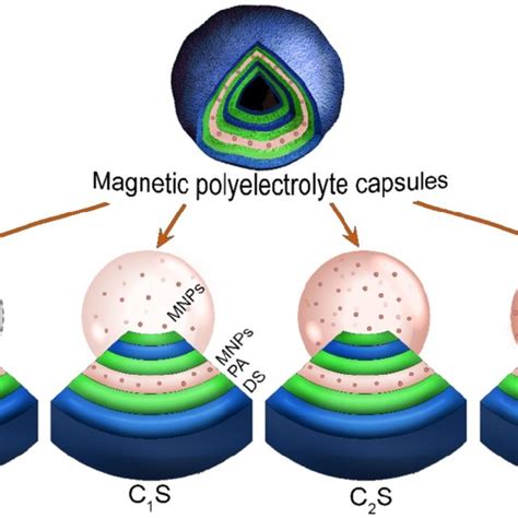 Scheme Representing The Structure Of The Obtained Magnetic