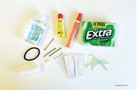 Diy Purse Essentials Kit