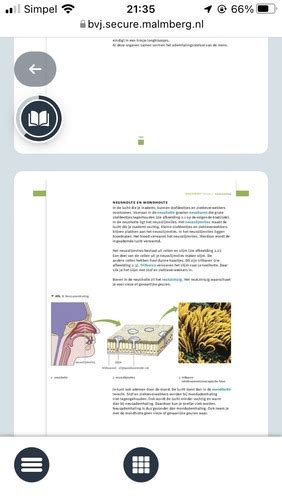 Biologie Plaatjes Leren Flashcards Quizlet