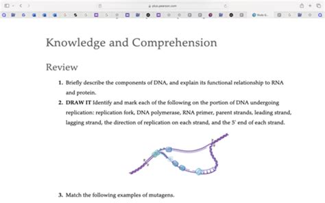 Chapter 8 Microb Exams Flashcards Quizlet