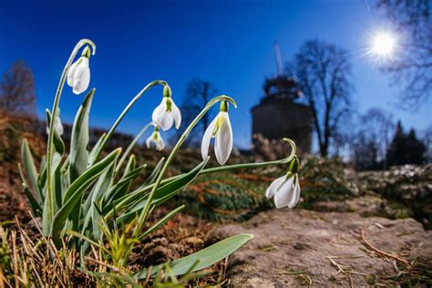 Wetter Thüringen Frühling kehrt zurück Droht danach nächste