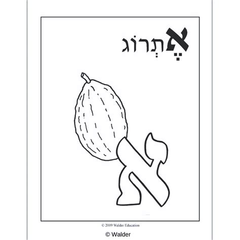 My Jewish Alef Beis Coloring Book Walder Education