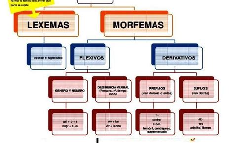 Que Tipos De Morfemas Hay Explicado Cada Tipo Brainly Lat