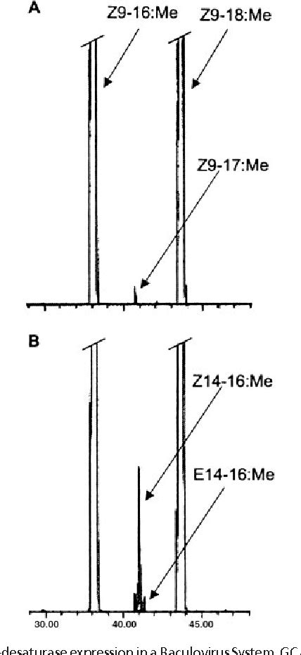 Figure From Evolution Of Moth Sex Pheromones Via Ancestral Genes Semantic Scholar