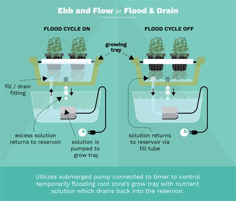 Basic Types Of Hydroponic Systems