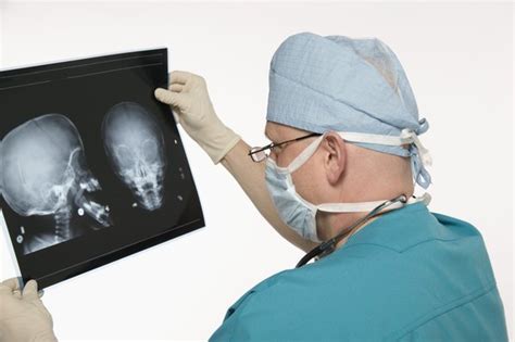 What Types Of Classes Do Neurological Surgeons Need To Take