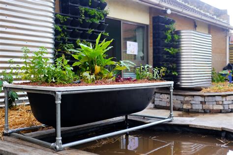 20 Useful Diy Aquaponics Systems And Plans Blitsy