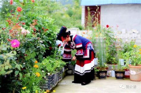 务基锦屏：民族团结花正艳 幸福生活入画来腾讯新闻