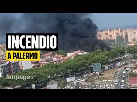 Palermo Nella Morsa Degli Incendi Due Morti Vigili Del Fuoco A Lavoro