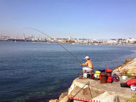 El Robalo La Pesca Desde Puertos