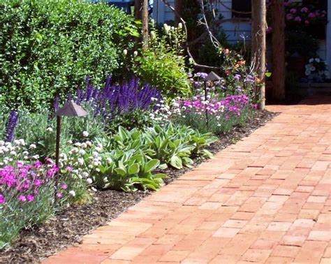 Mixed perennial border | Plants, Perennials, Perennial border