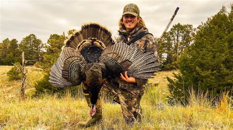 Intense Fast Hunt On Nebraska Public Land First Merriam Turkey