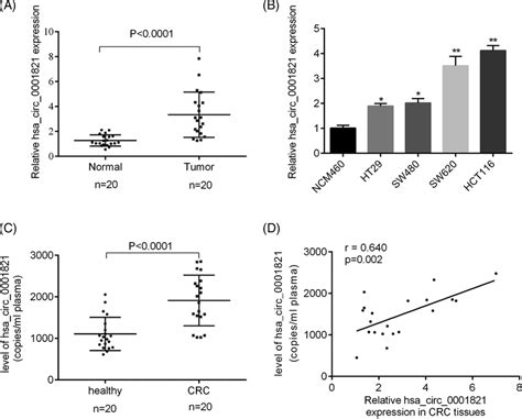 The Expression Of Hsa Circ 0001821 Was High In CRC A QRTPCR