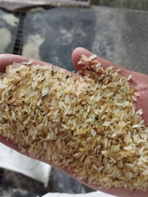 Golden Distilleries Rejection Broken Rice Loose At Rs 27 Kg In Nashik