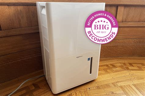 The Best Dehumidifiers For Basements Tested By Bhg