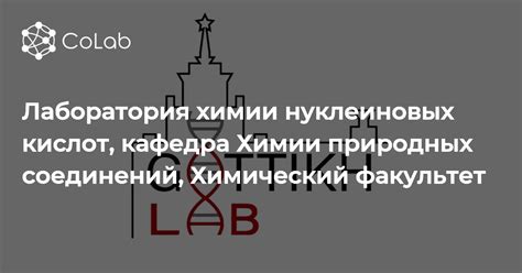Laboratory of Nucleic Acid Chemistry, Department of Chemistry of ...